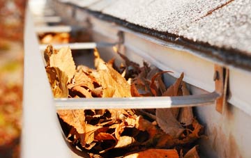 Bantam Grove gutter cleaning companies